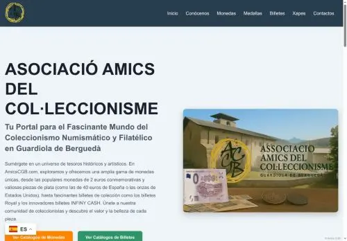 Proyecto real: amicscgb.com (captura)